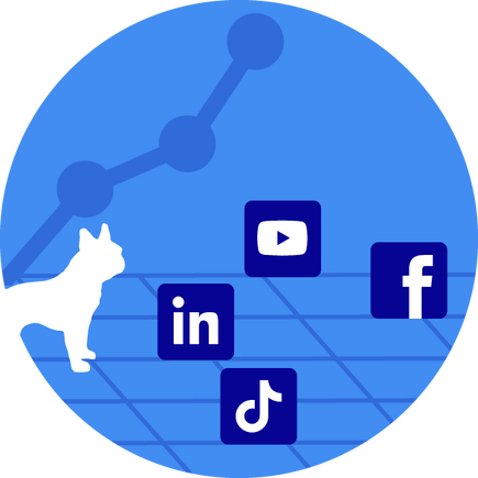 Social Media Campaigns